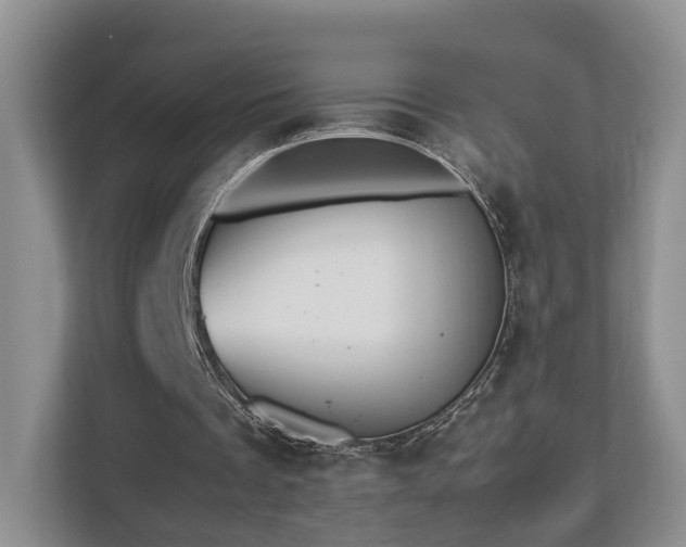 X0000112790289200908211119