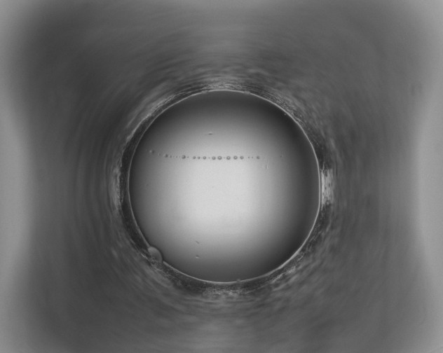 X0000112790291200908211119