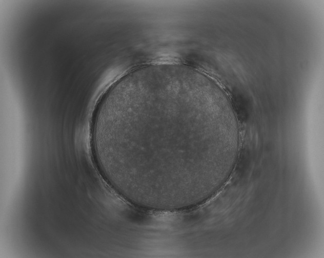 X0000112790293200908211119