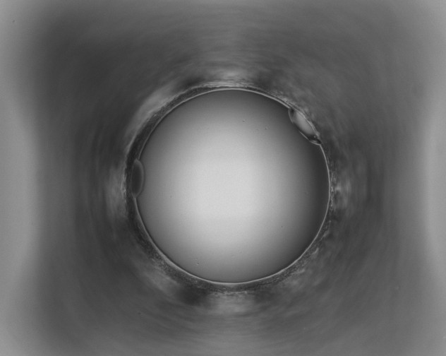 X0000112790296200908211119