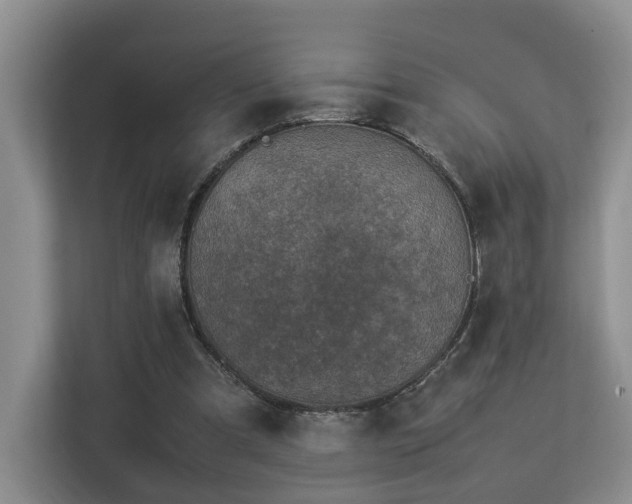 X0000112790297200908211119