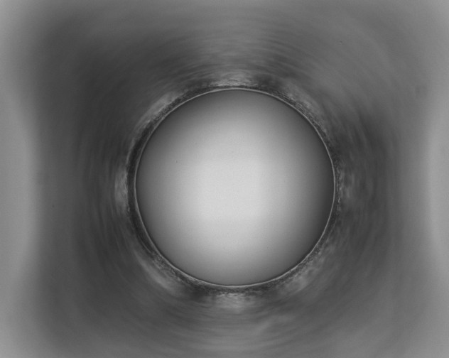 X0000112790298200908211119