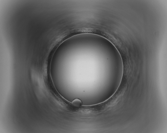 X0000112790299200908211119