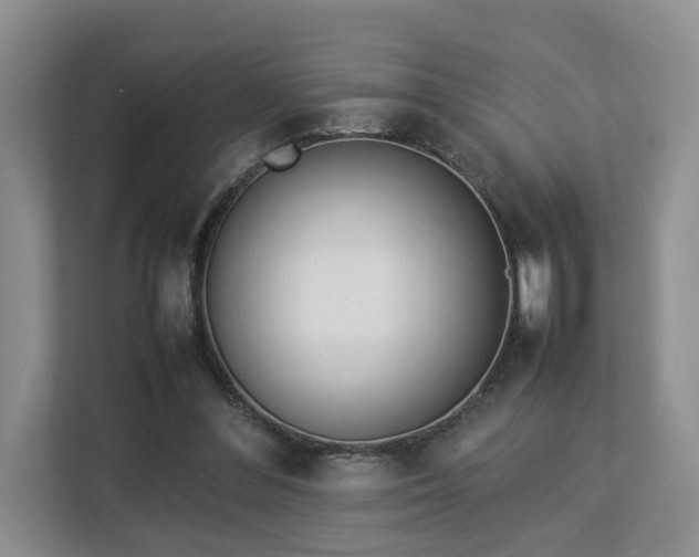 X0000112790300200908211119