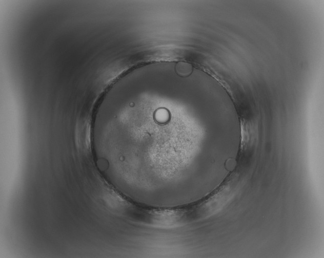 X0000112790301200908211119