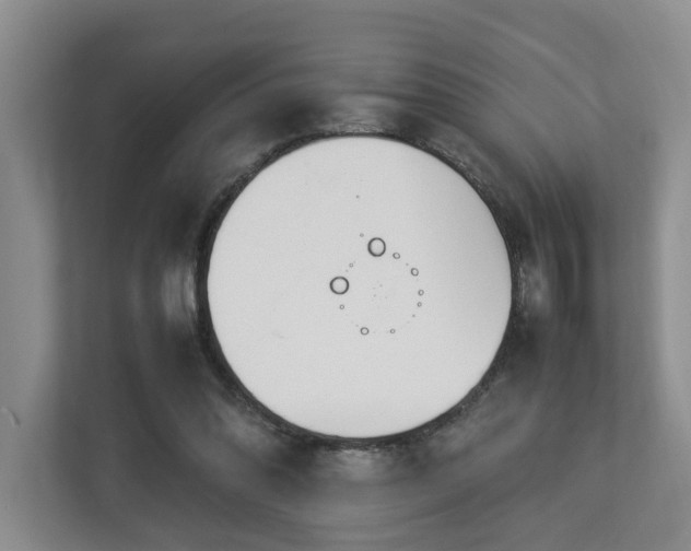 X0000112790302200908211119