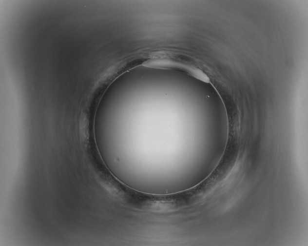 X0000112790303200908211119