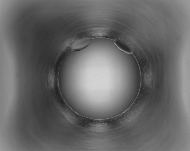 X0000112790304200908211119