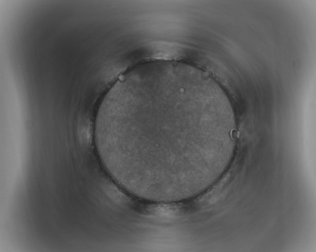 X0000112790305200908211119