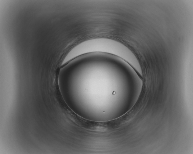 X0000112790308200908211119