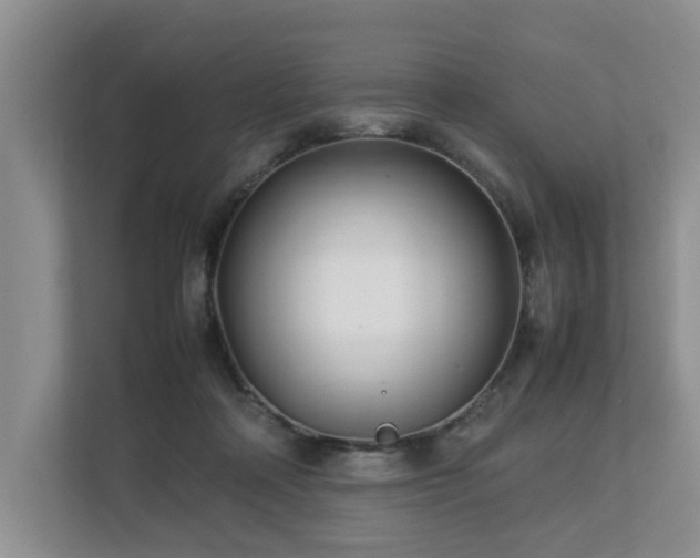 X0000112790314200908211119