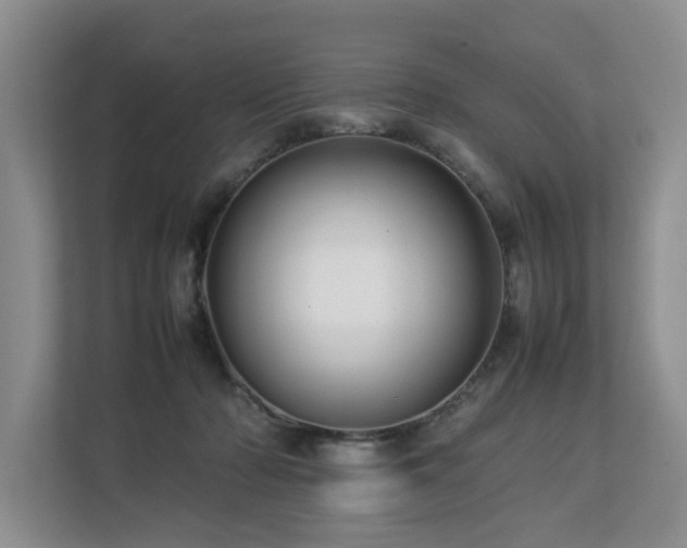 X0000112790318200908211118