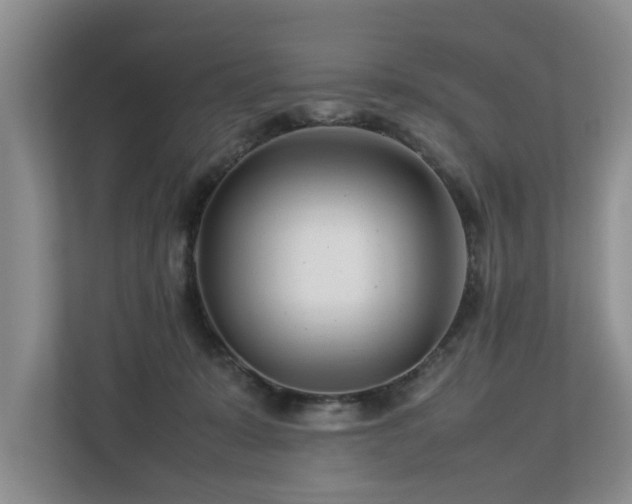 X0000112790319200908211118