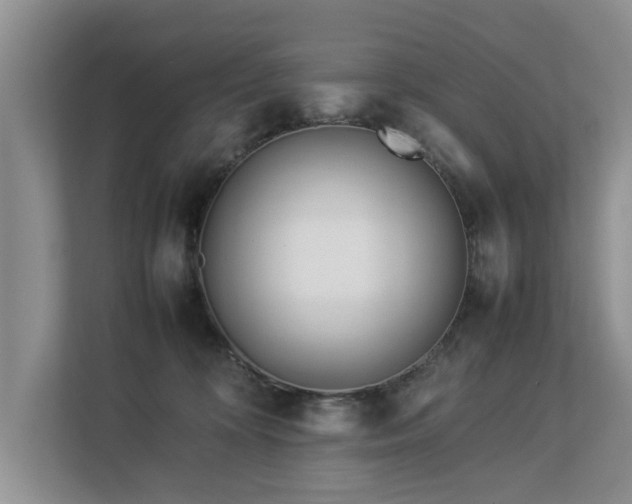 X0000112790324200908211118