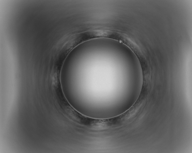 X0000112790325200908211118