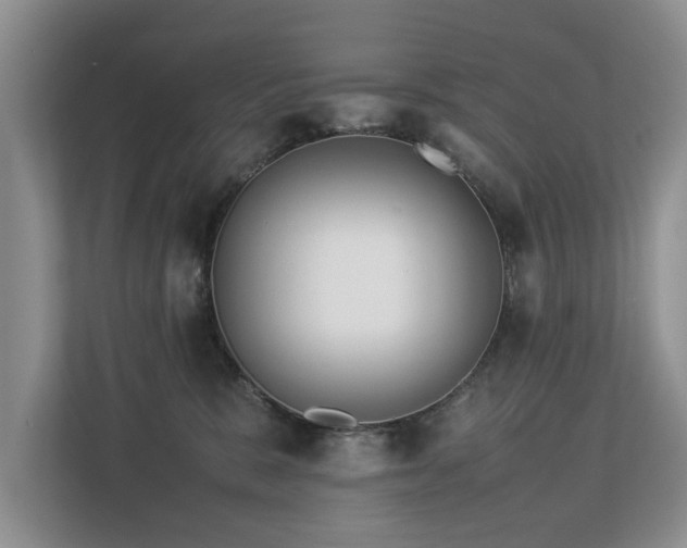 X0000112790327200908211118