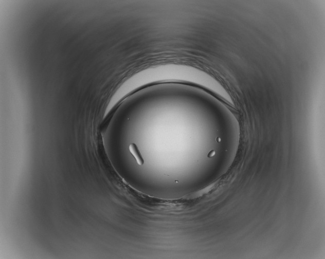 X0000112790328200908211118