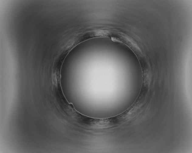 X0000112790329200908211118