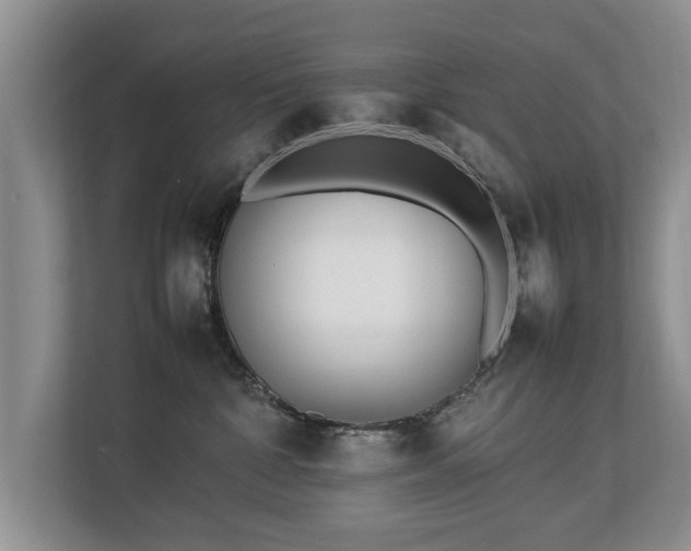 X0000112790332200908211118