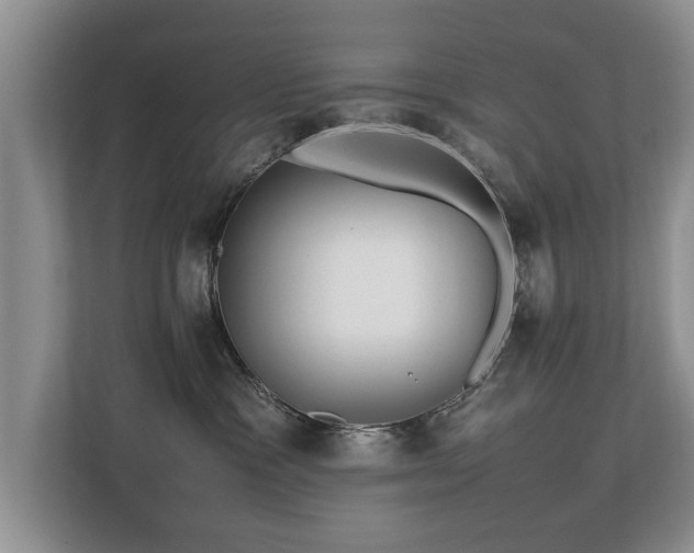 X0000112790333200908211118