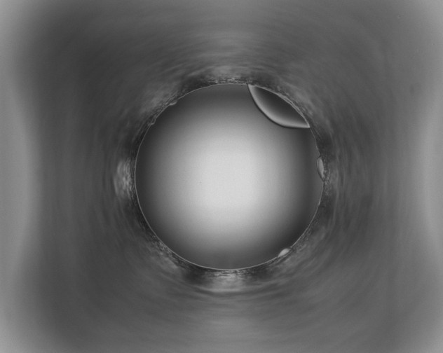 X0000112790335200908211118