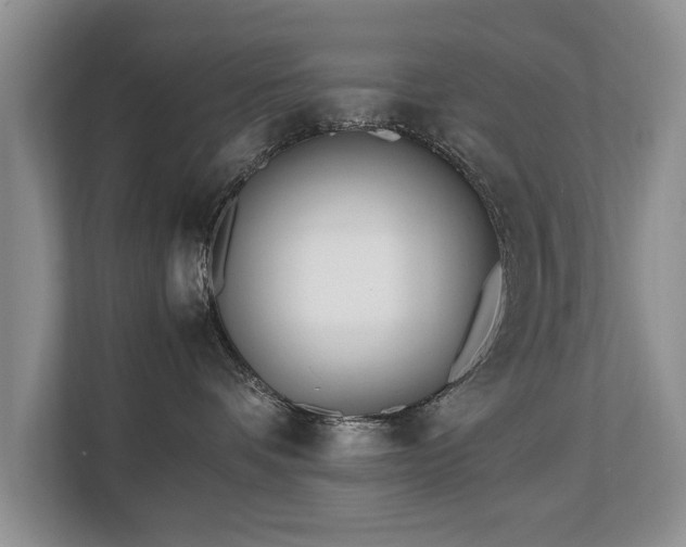 X0000112790336200908211118