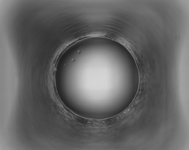 X0000112790337200908211118