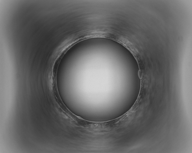 X0000112790338200908211118