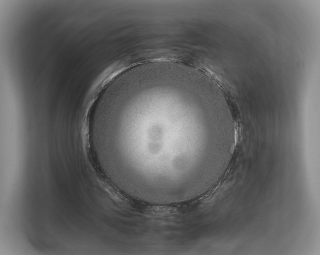 X0000112790339200908211118