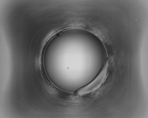 X0000112790340200908211118