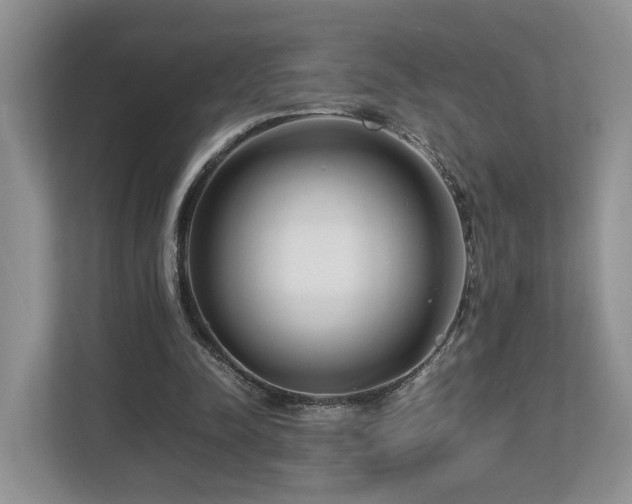 X0000112790342200908211118