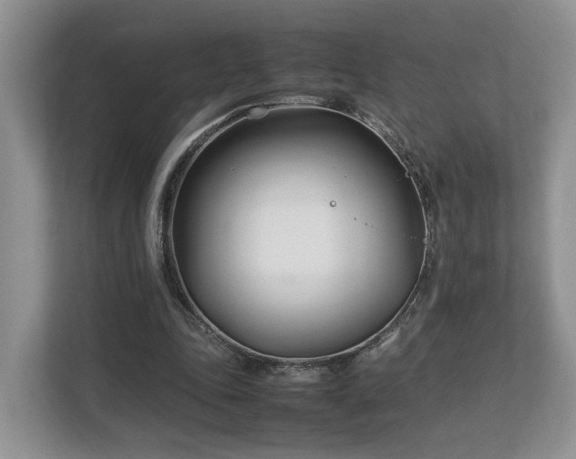 X0000112790343200908211118