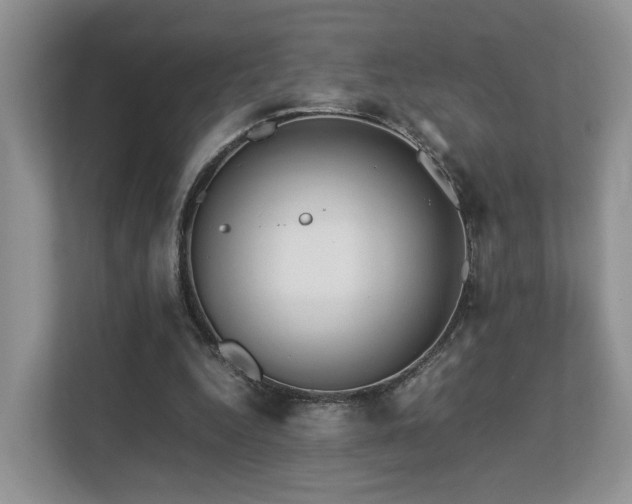 X0000112790344200908211118