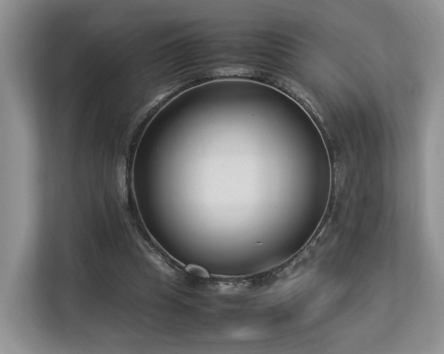 X0000112790345200908211118