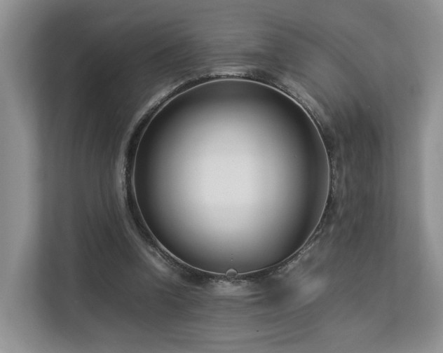 X0000112790346200908211118