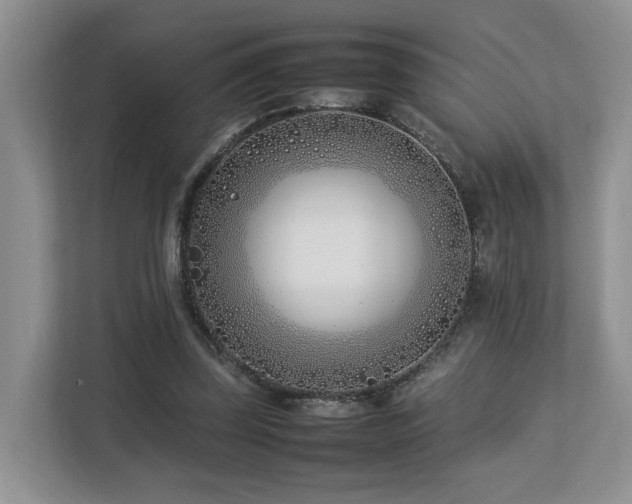 X0000112790347200908211118