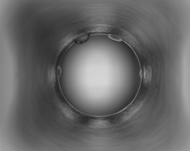 X0000112790348200908211118