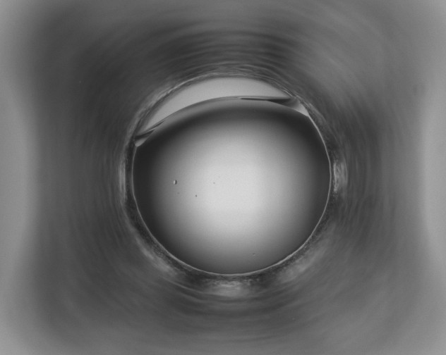 X0000112790349200908211118