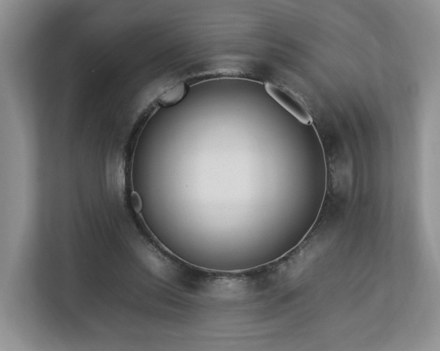 X0000112790350200908211118