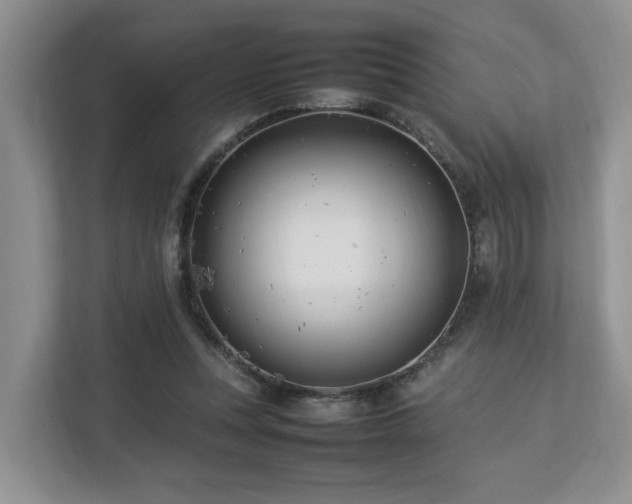 X0000112790351200908211118