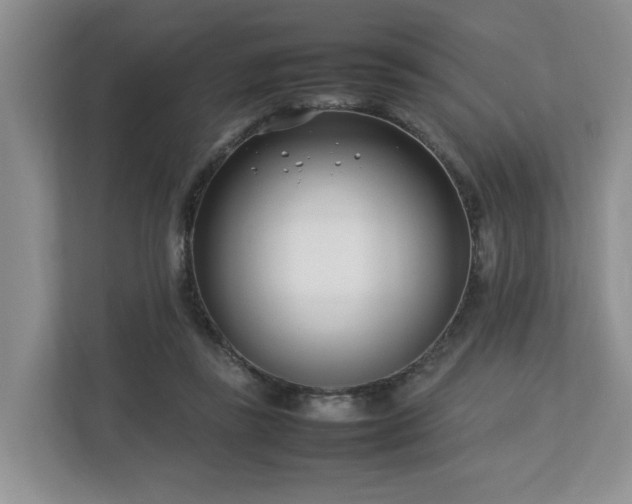 X0000112790355200908211118