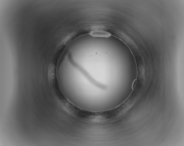 X0000112790356200908211118