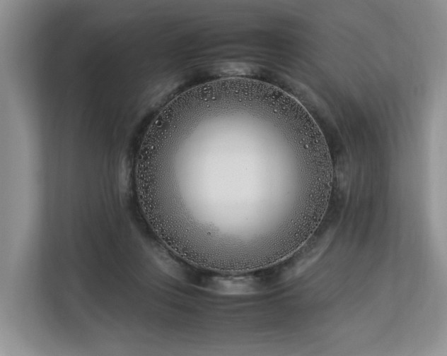 X0000112790359200908211118