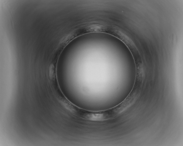 X0000112790361200908211118