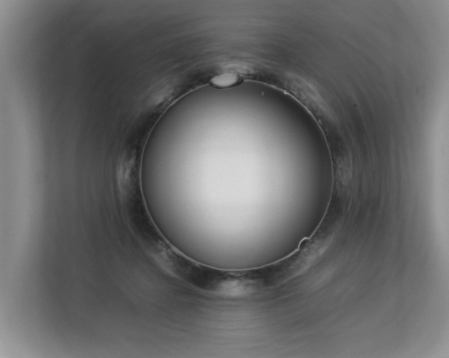 X0000112790364200908211118