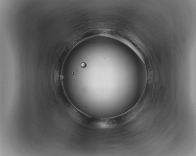 X0000112790365200908211118