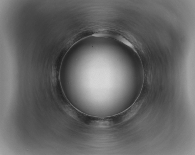 X0000112790366200908211118