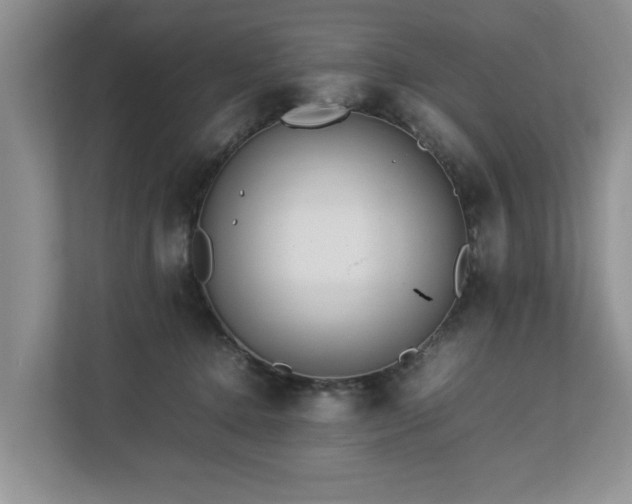 X0000112790368200908211118