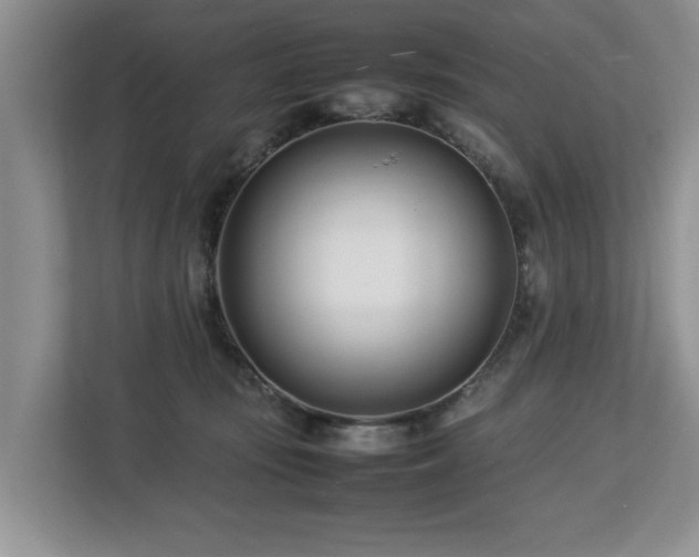 X0000112790371200908211118