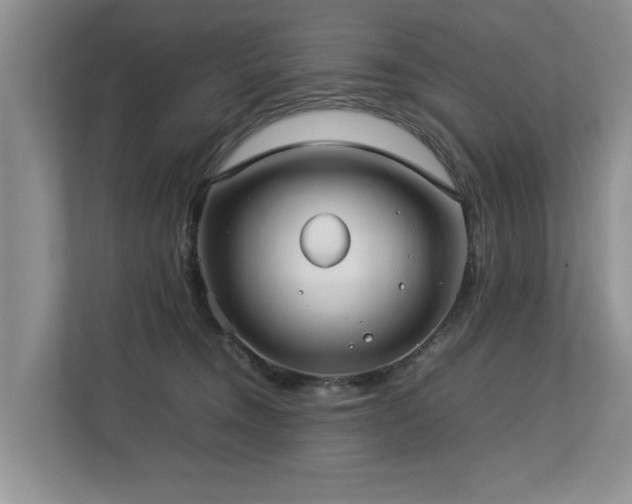 X0000112790372200908211118